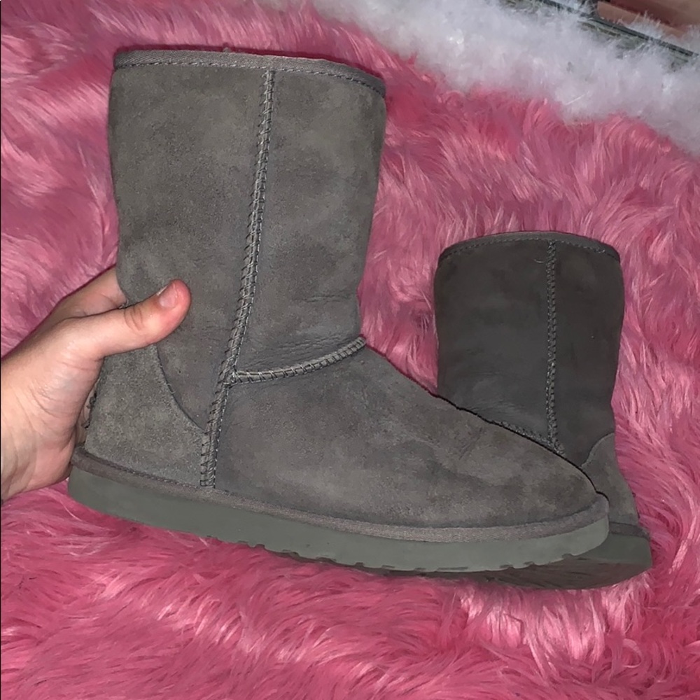 Grey uggs